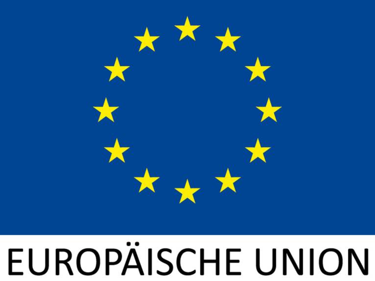 EU Logo